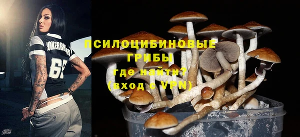 прущая мука Покачи