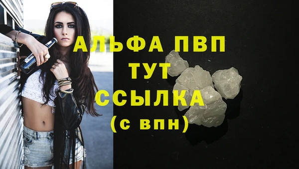 ECSTASY Гатчина