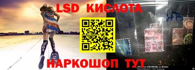 индика Ирбит