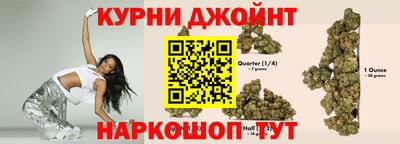 индика Ирбит