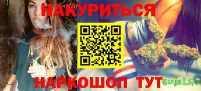 индика Ирбит