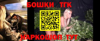 индика Ирбит
