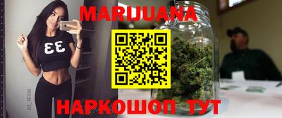 индика Ирбит