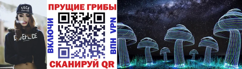 Псилоцибиновые грибы GOLDEN TEACHER Луховицы