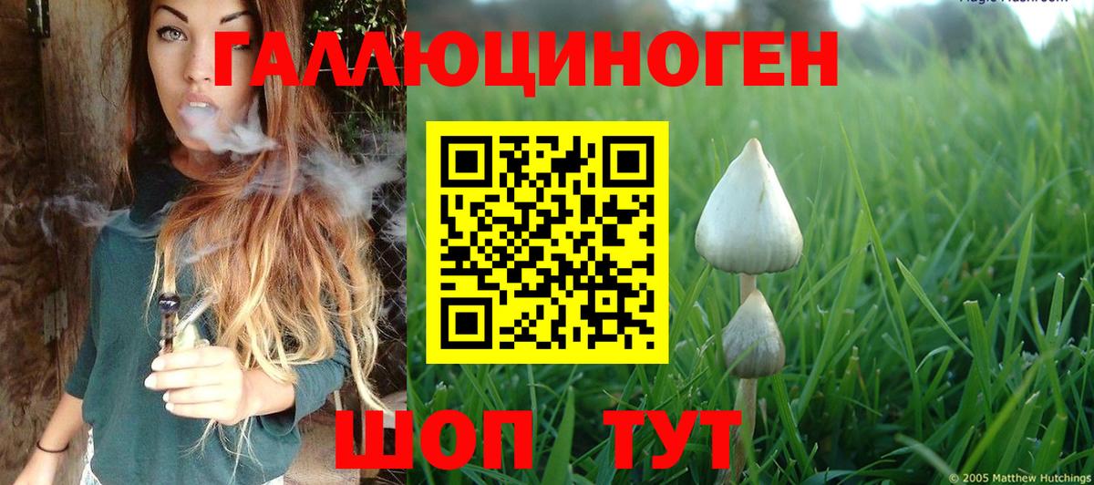 Луховицы  купить закладку  Вход с VPN  Галлюциногенные грибы GOLDEN TEACHER 