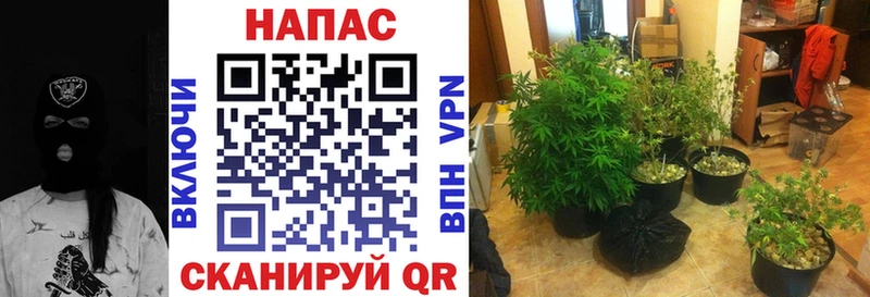 Канабис тримм  Луховицы 